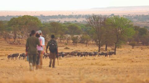 These Black-Owned Safaris Are Putting African Stories First