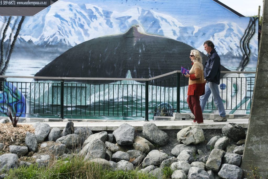 Whale watching expeditions
