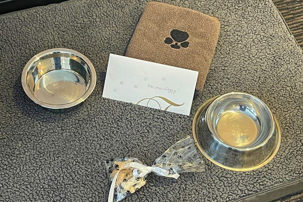 Dog Friendly Hotels
