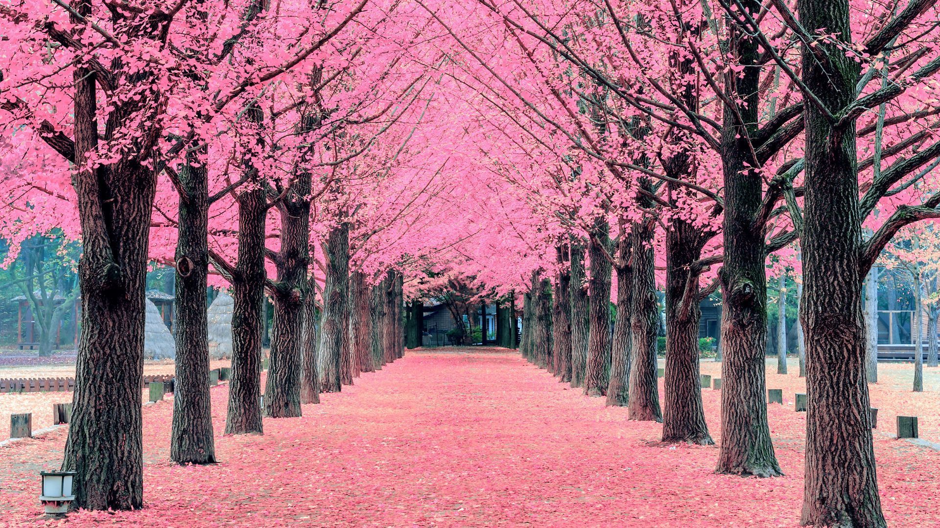 South Korea beautiful places