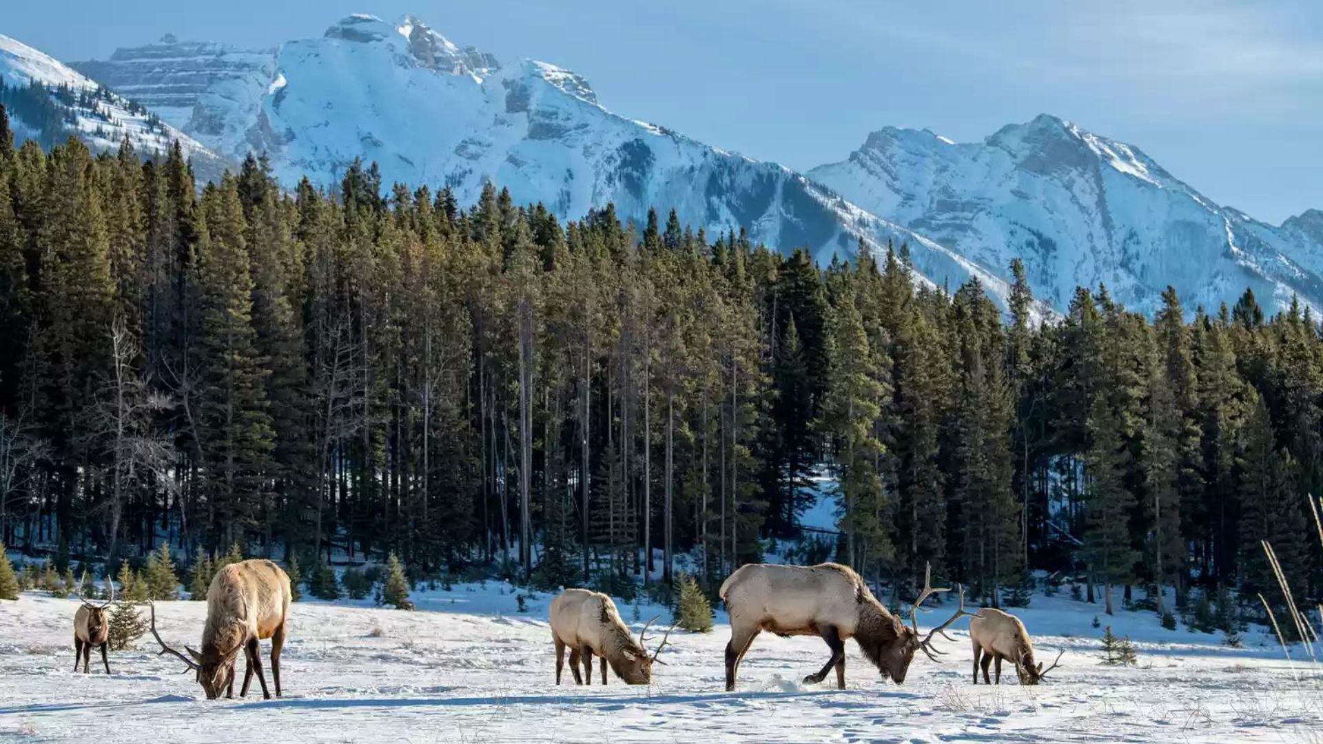 romantic winter getaways
