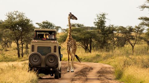 White Sand Beaches, Crater Safaris And More: 8 African Countries That Promise Warm &amp; Toasty Winter