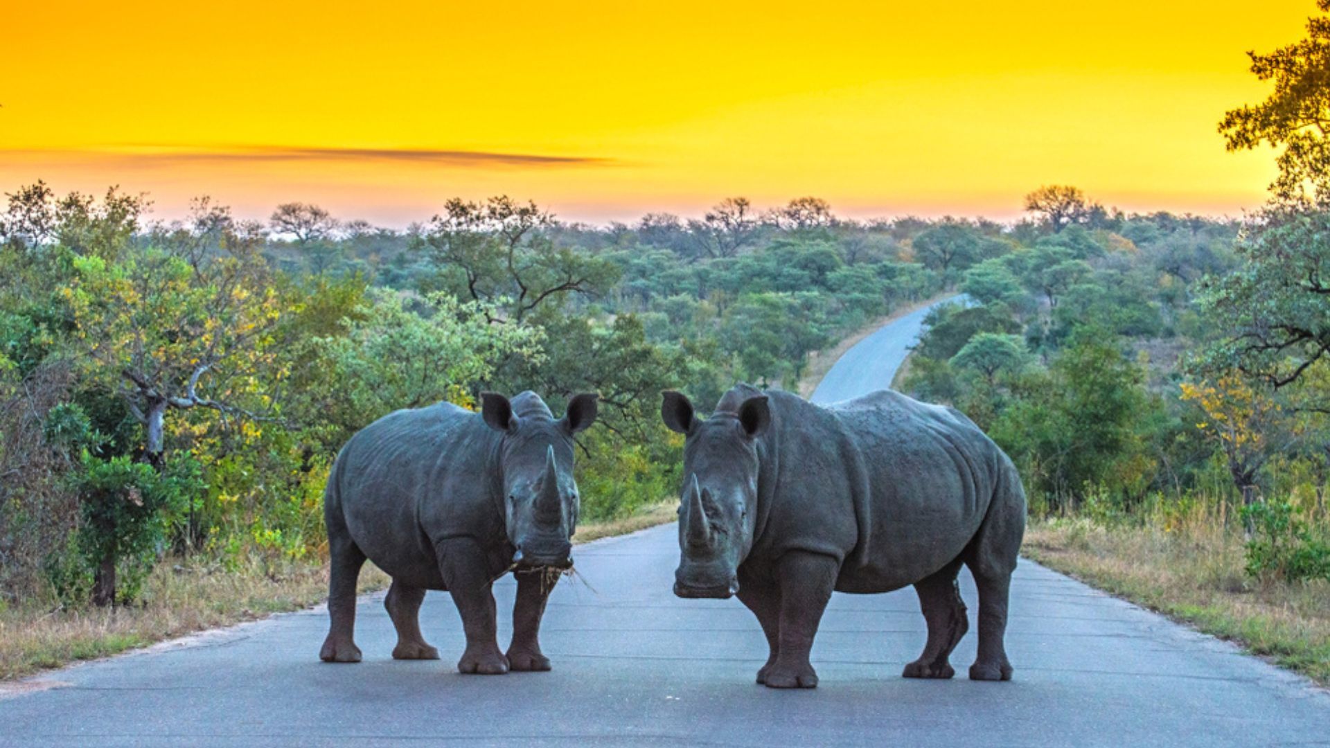 beautiful places in South Africa