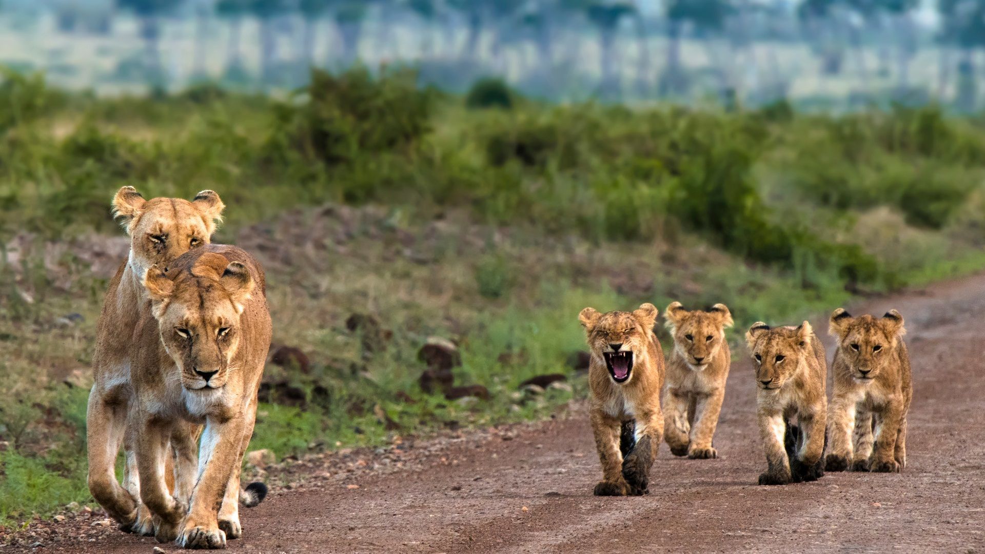 Masai Mara National Reserve