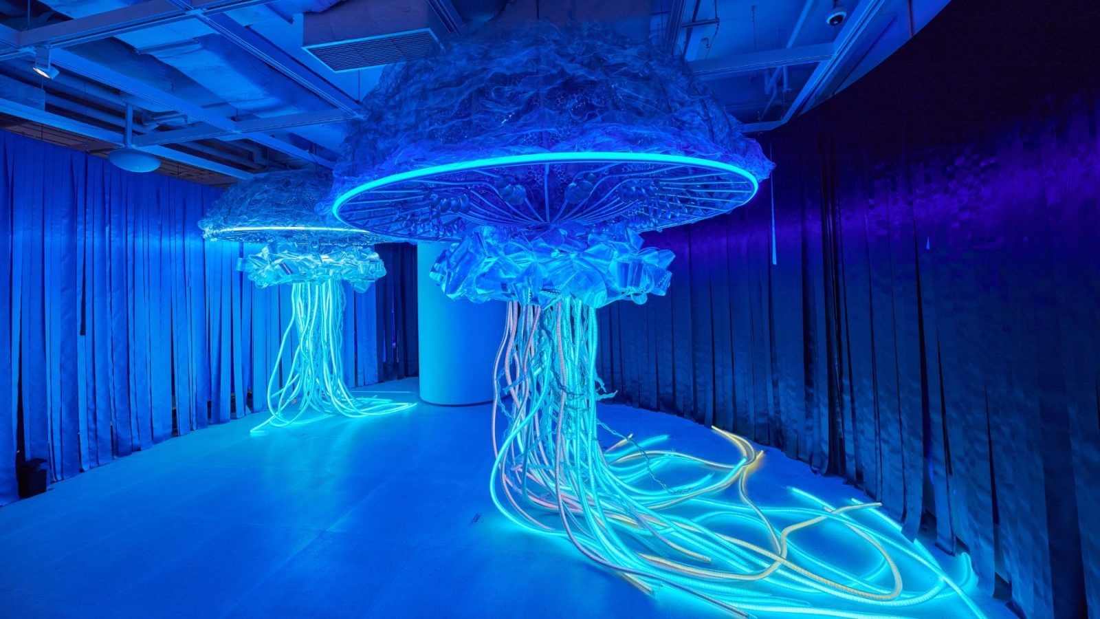 The World's 'First' Digital Aquarium Lands In Airside, Hong Kong
