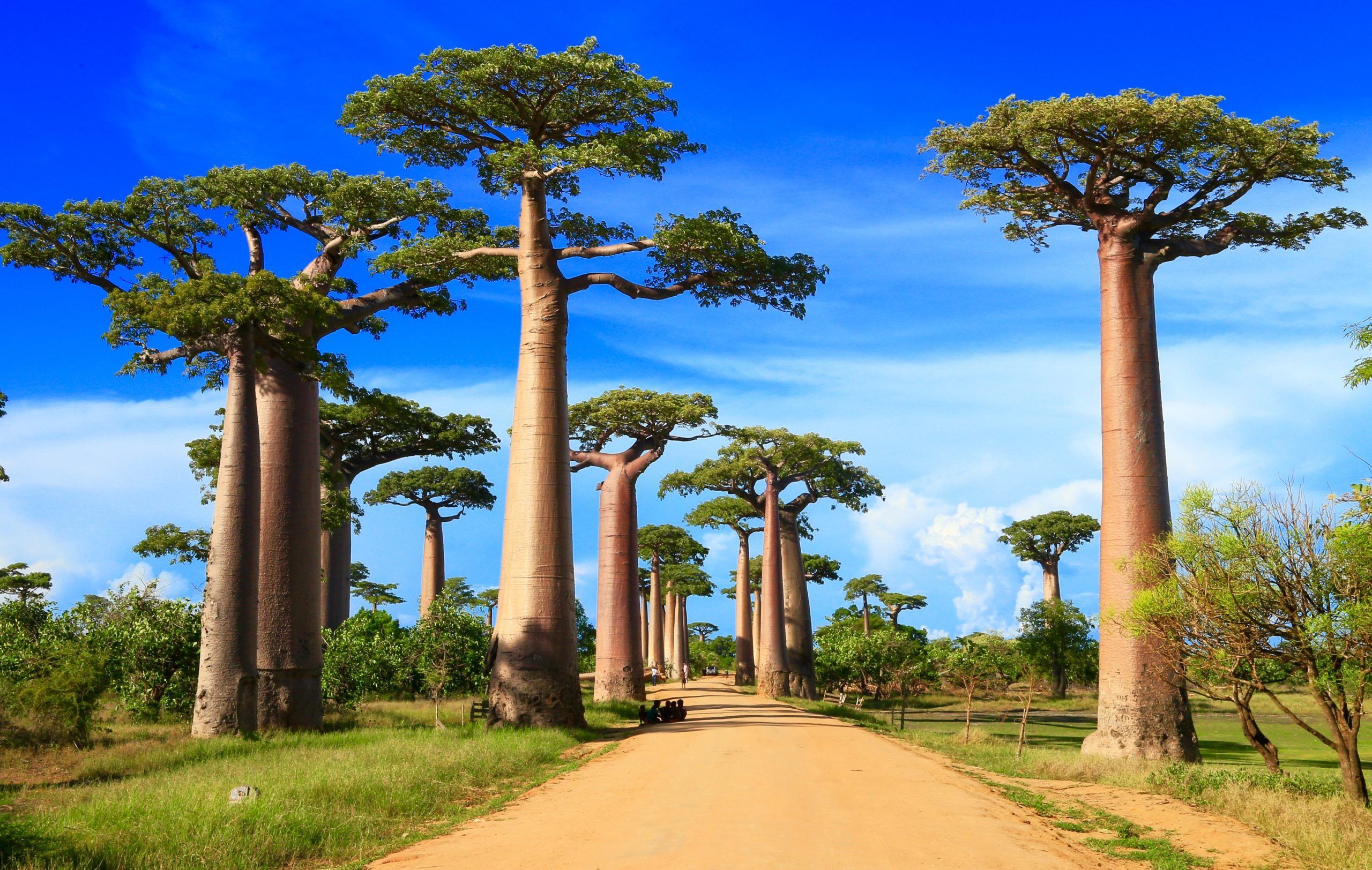 Madagascar