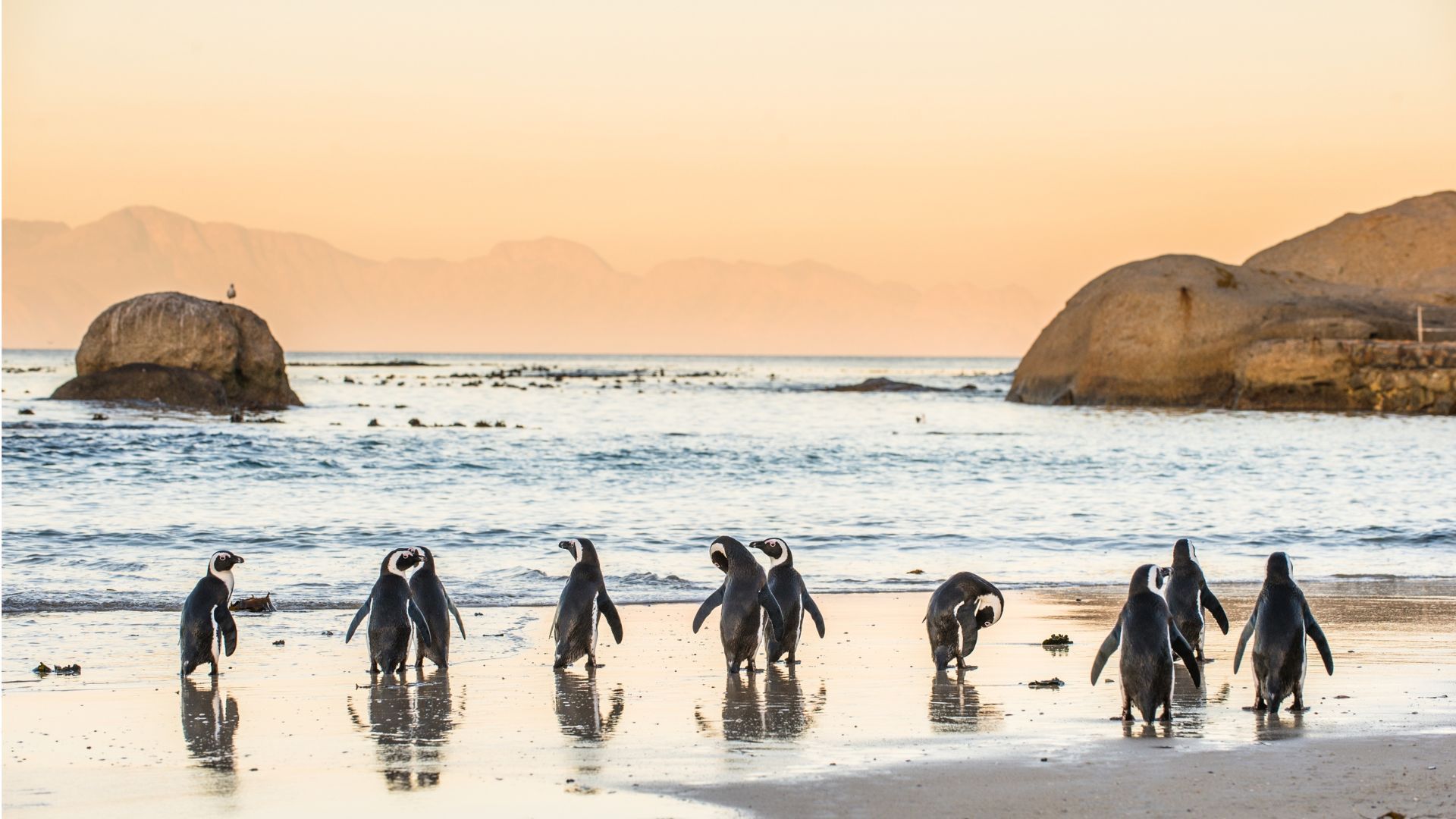 South Africa