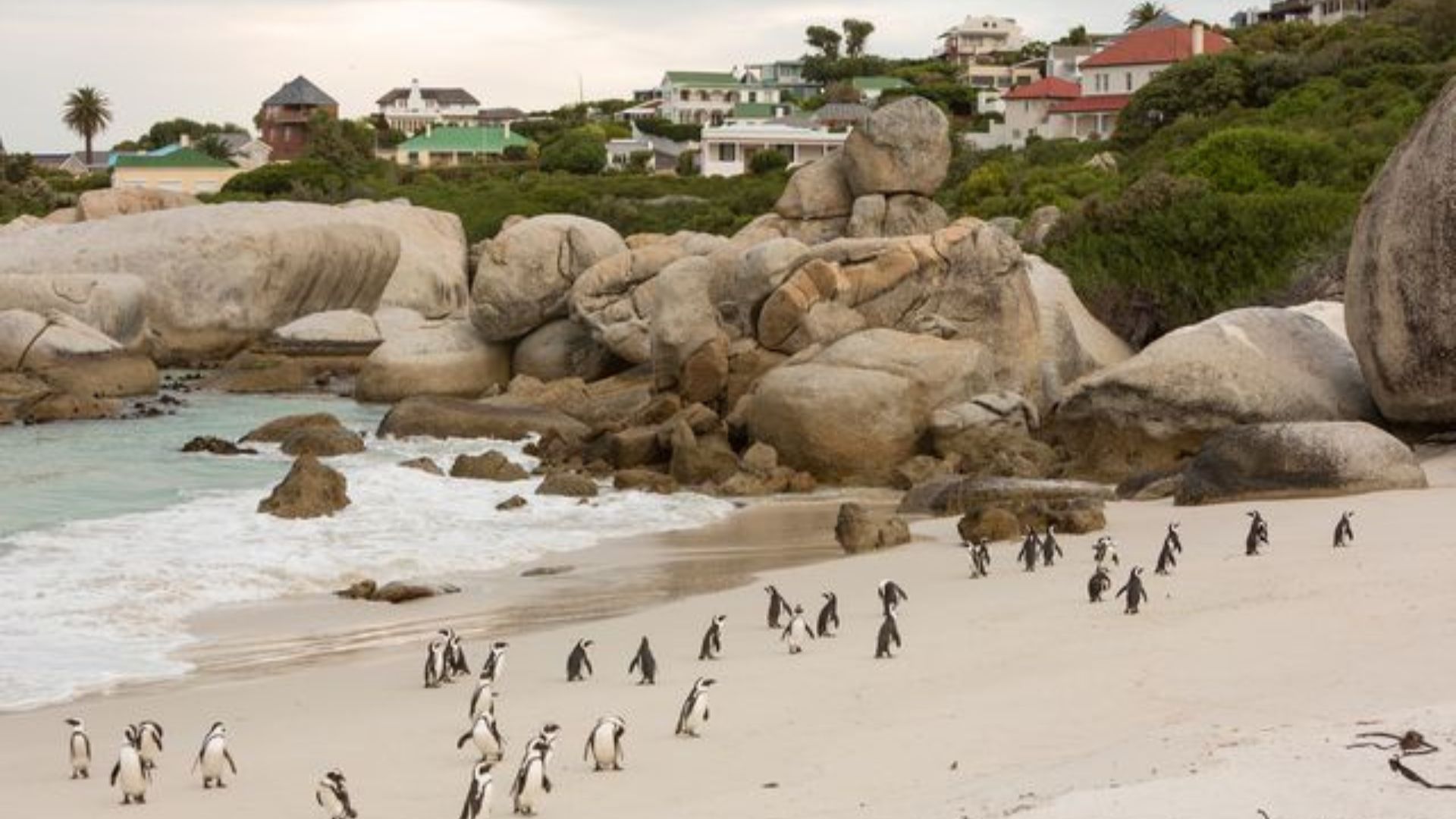 Cape town