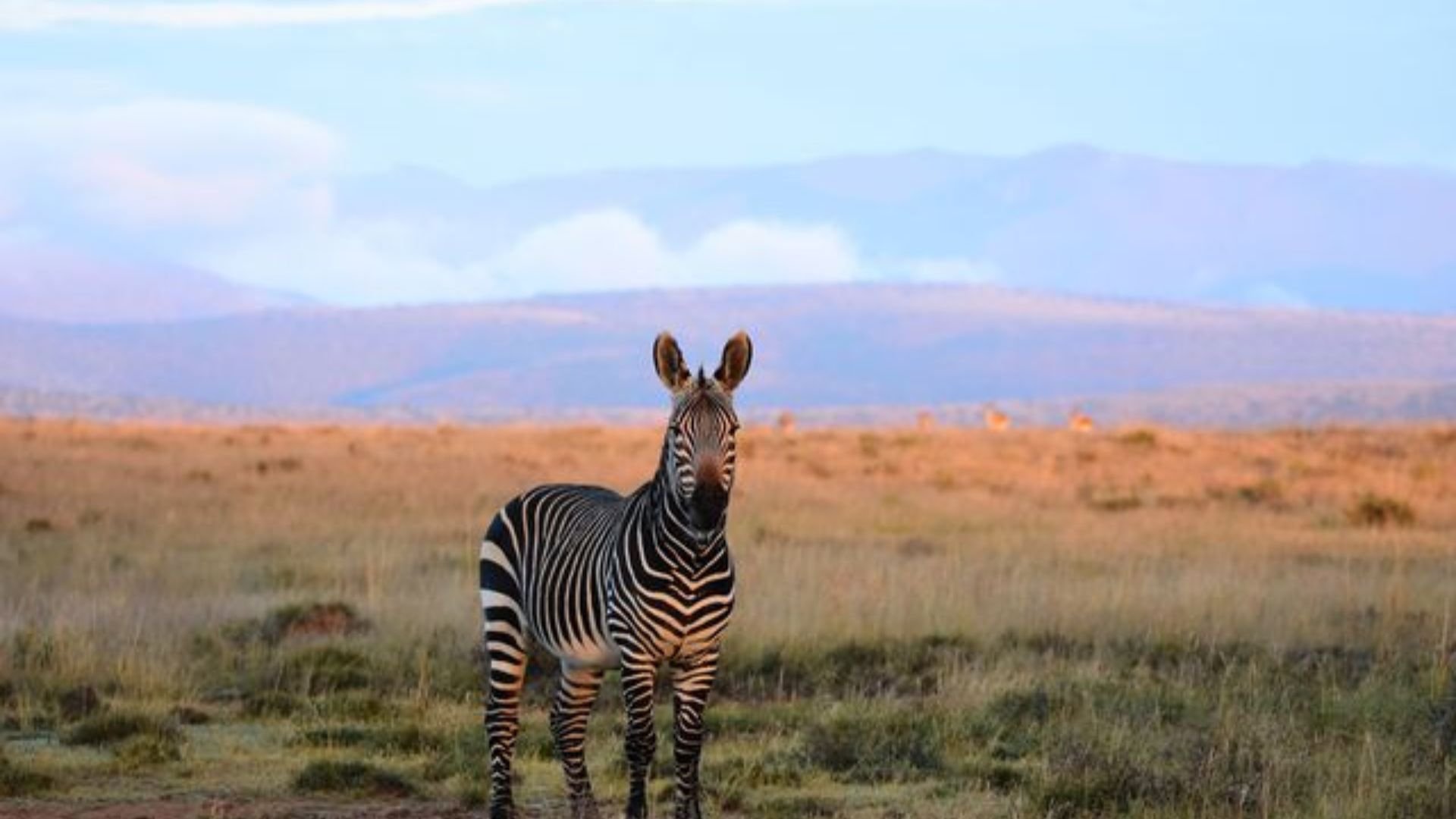 Best times to visit South Africa