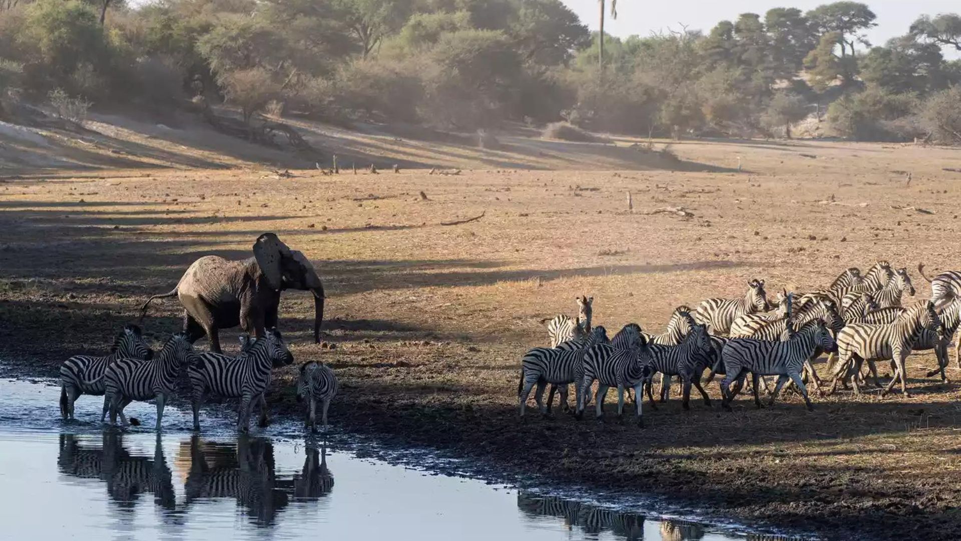 botswana safari lodge