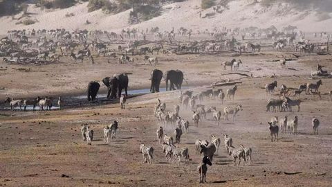 This Luxury Lodge Is The Best Place To See The 'Secret Migration' Of 30,000 Zebra In Africa