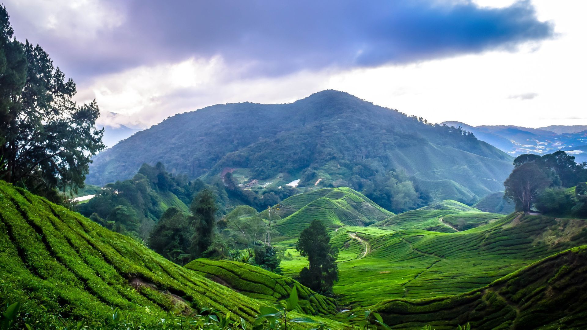 Malaysia