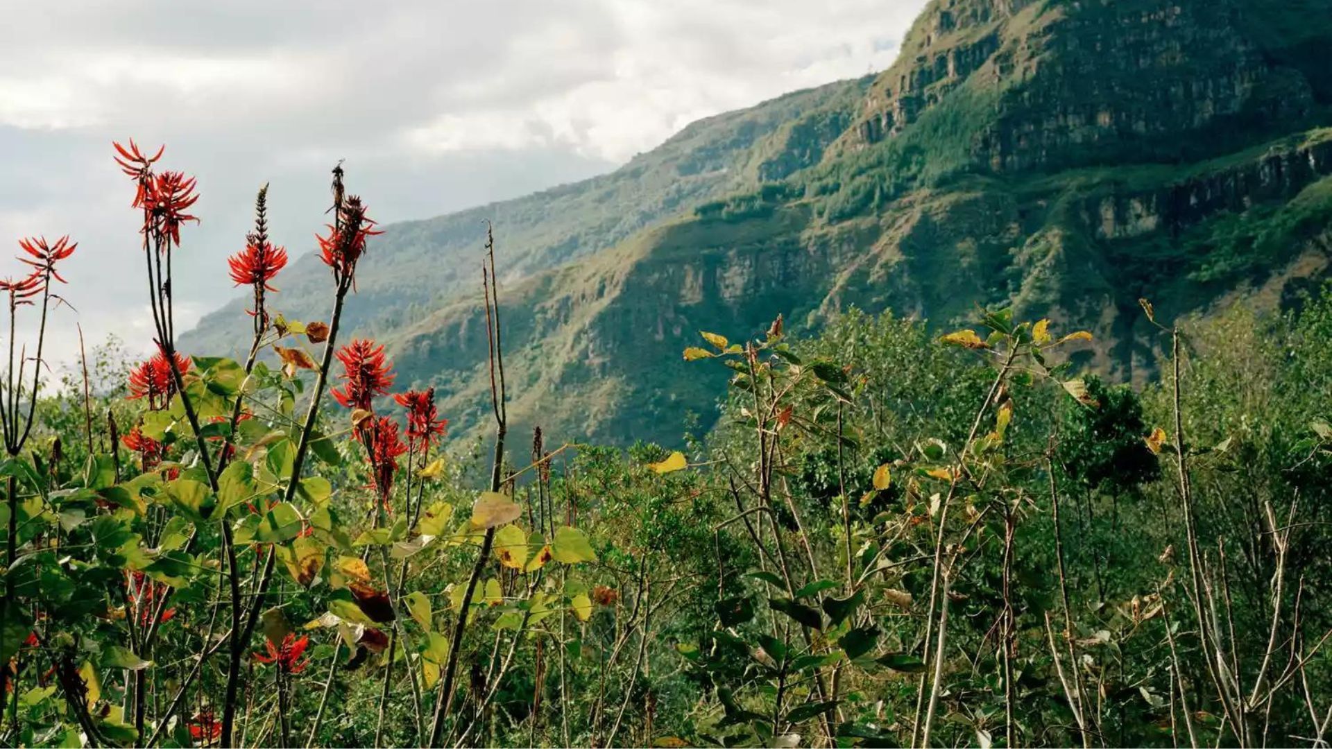 Gocta Natura Reserve