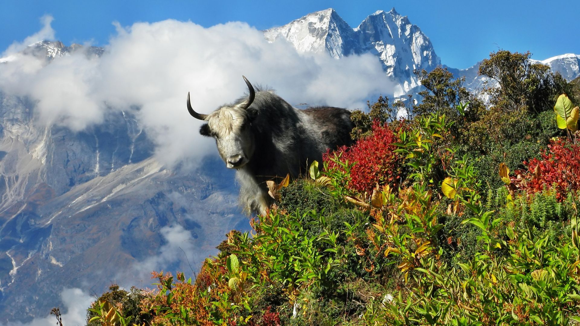 Sagarmatha National Park