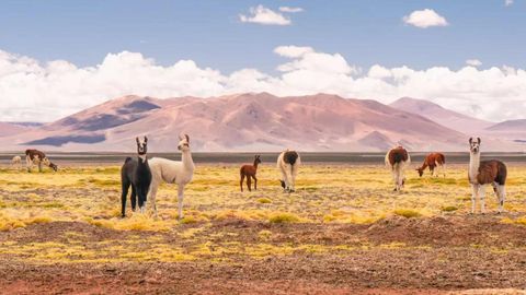 This Is The Driest Desert In The World — With Salt Flats &amp; Hiking Trails That Resemble Mars