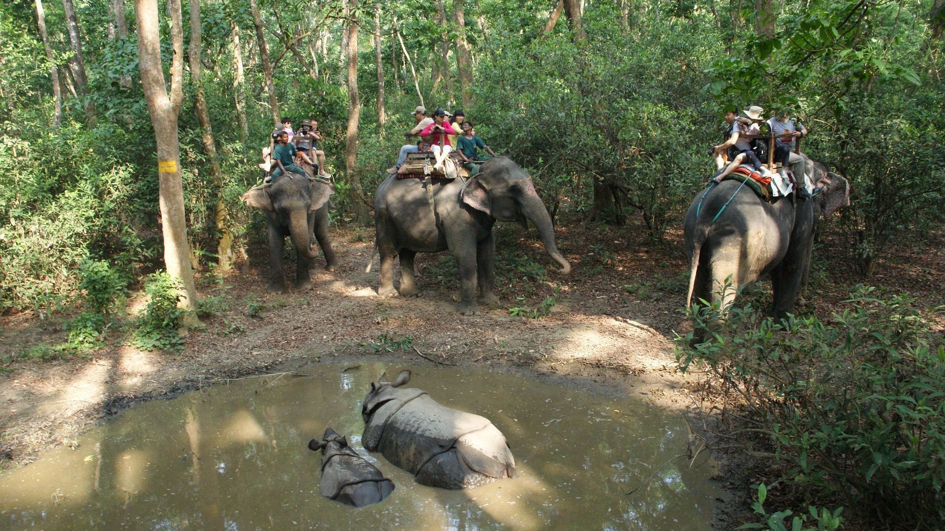 Chitwan National Park