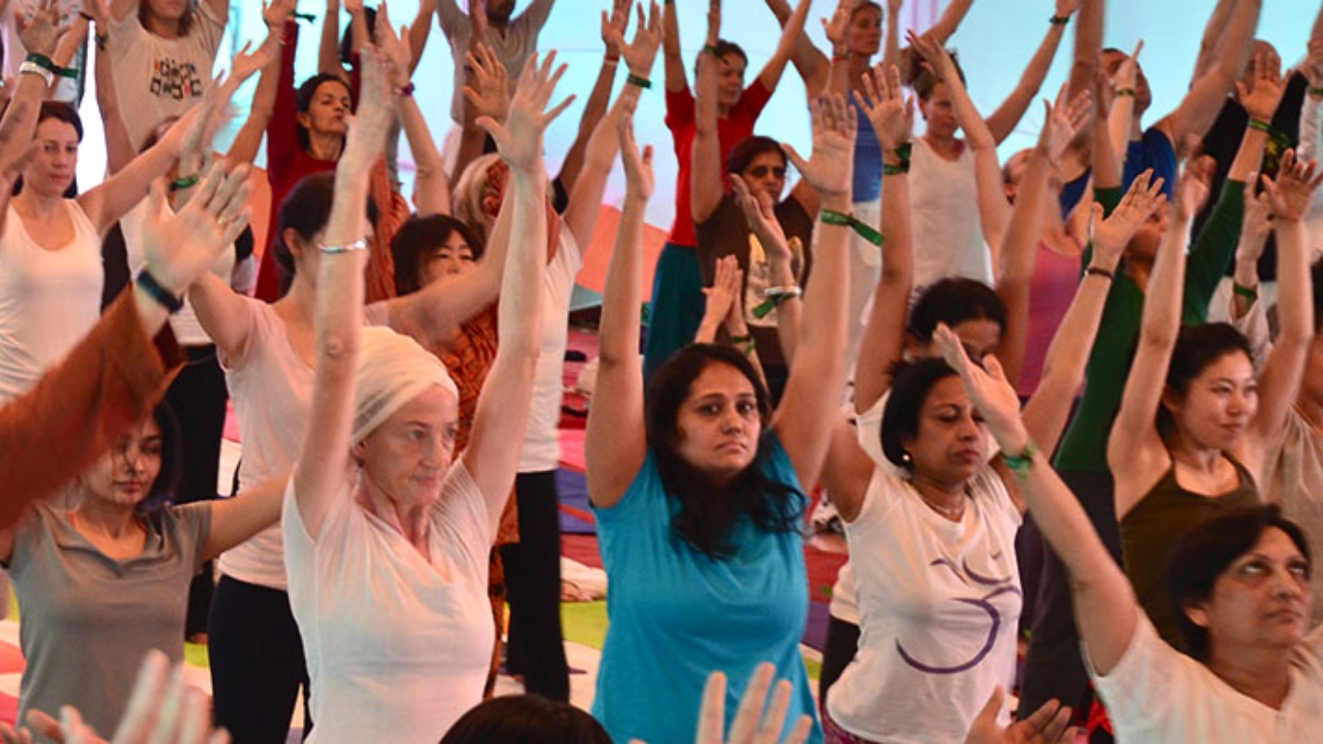 wellness festivals