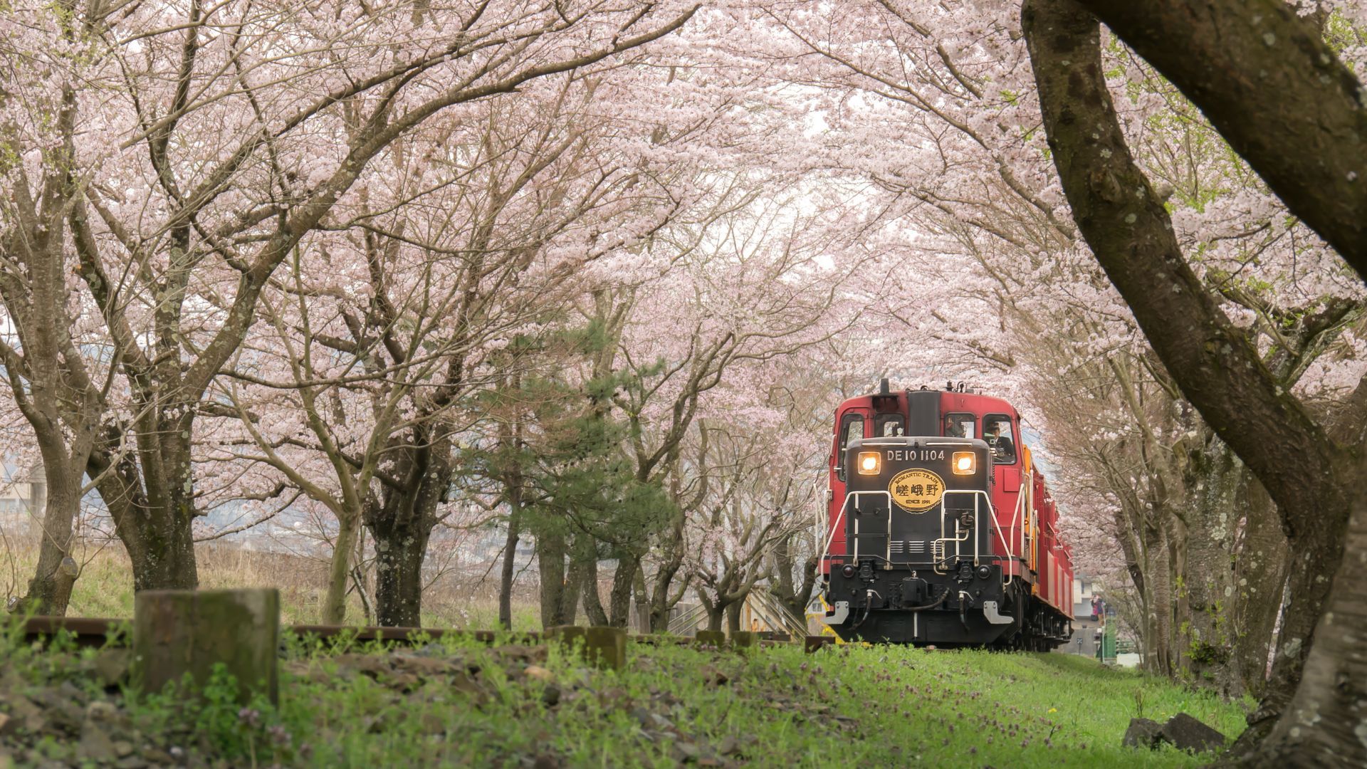 Sagano train