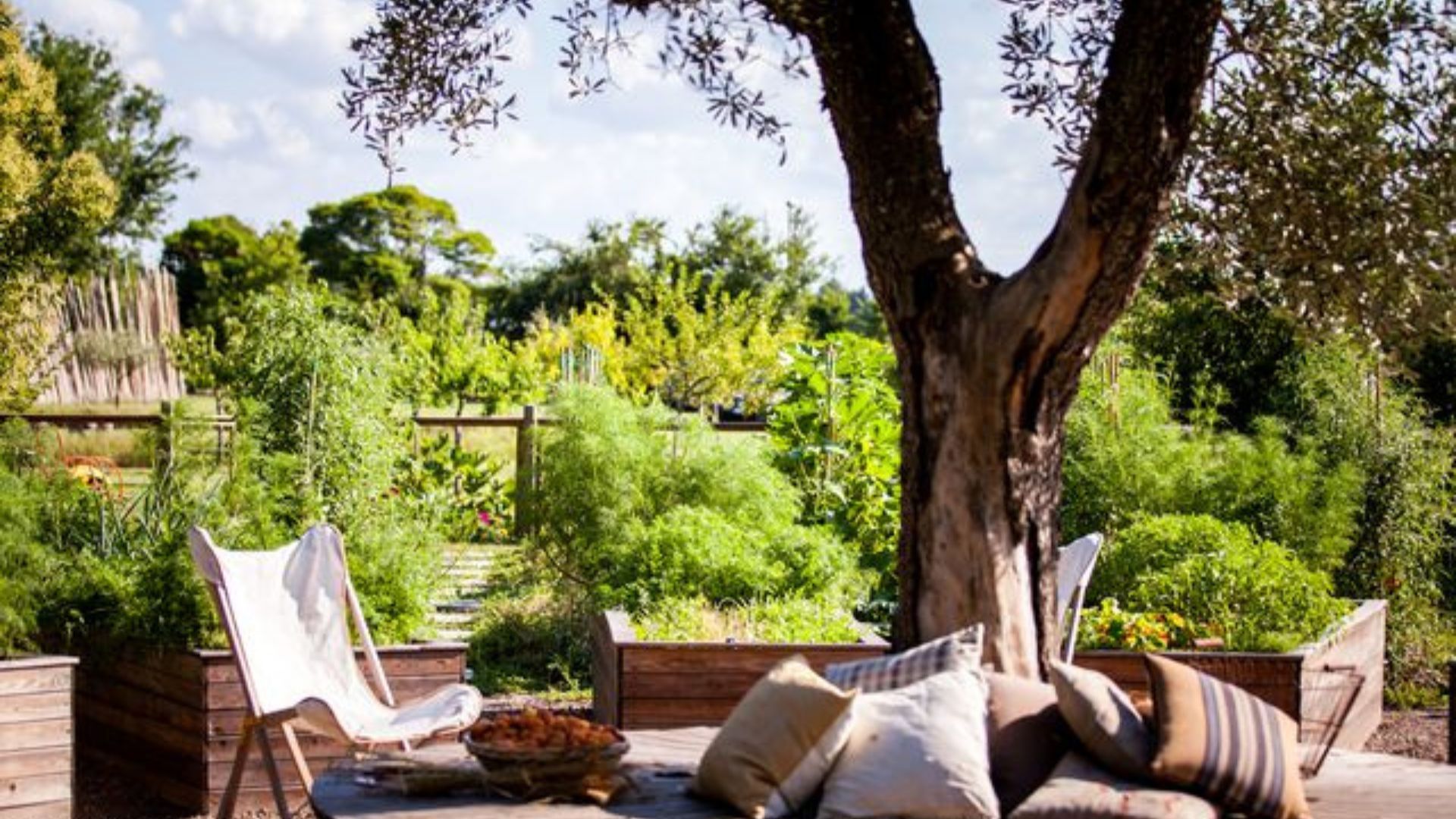 Garden