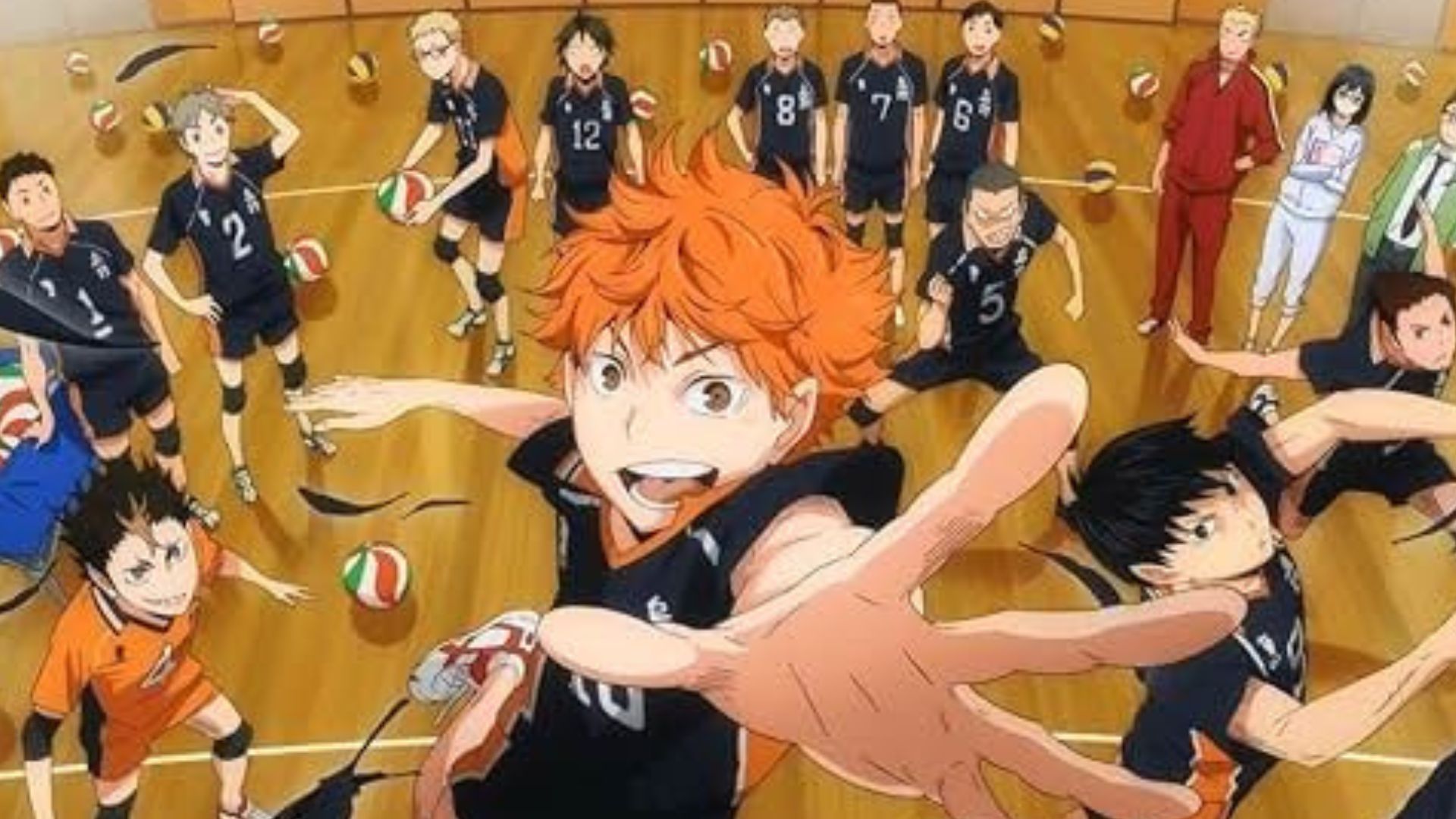 Haikyu!! anime