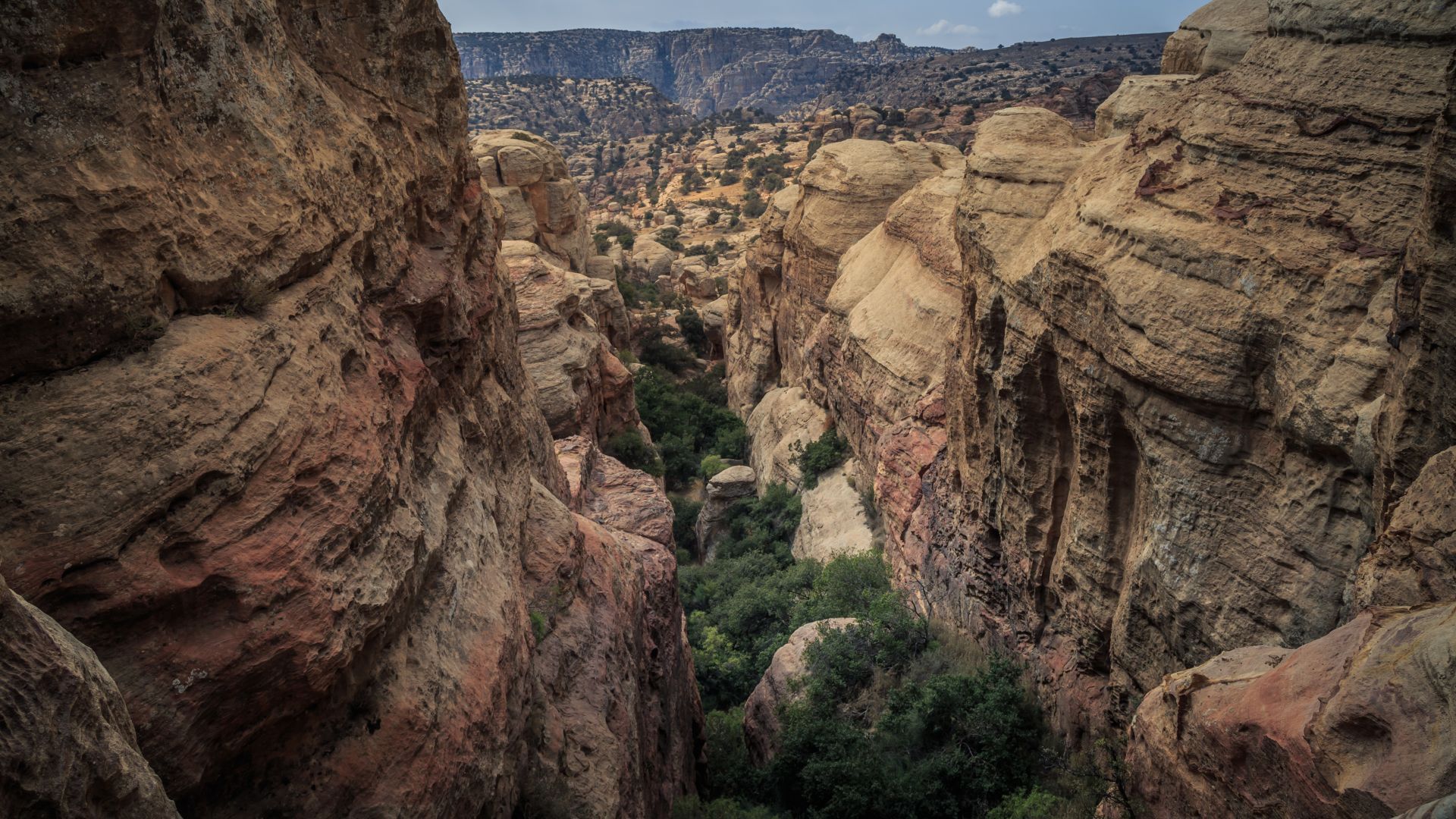 Dana Biosphere Reserve