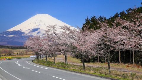 A Japan Road Trip in the Stunning Izu Peninsula, with Onsen, Izakaya, and Mount Fuji Views Galore