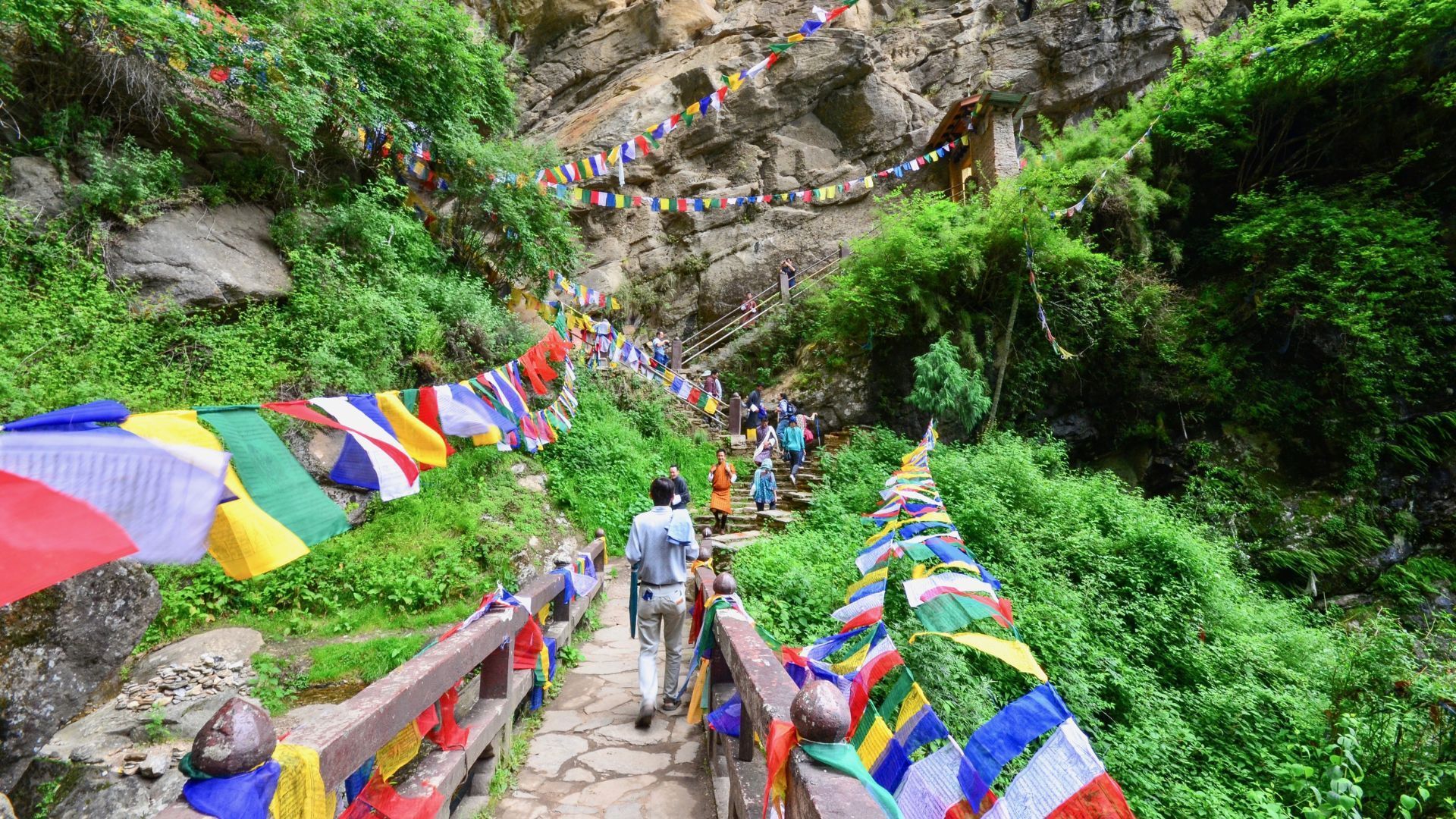 paro