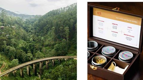 Sri Lanka Has A New Walking Trail With Wild Forests And Centuries-Old Wellness Retreats