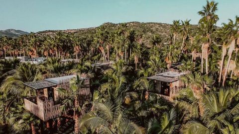 You Can Now Stay In A Tree House At A Cabo Hotel That Makes Its Own Mezcal