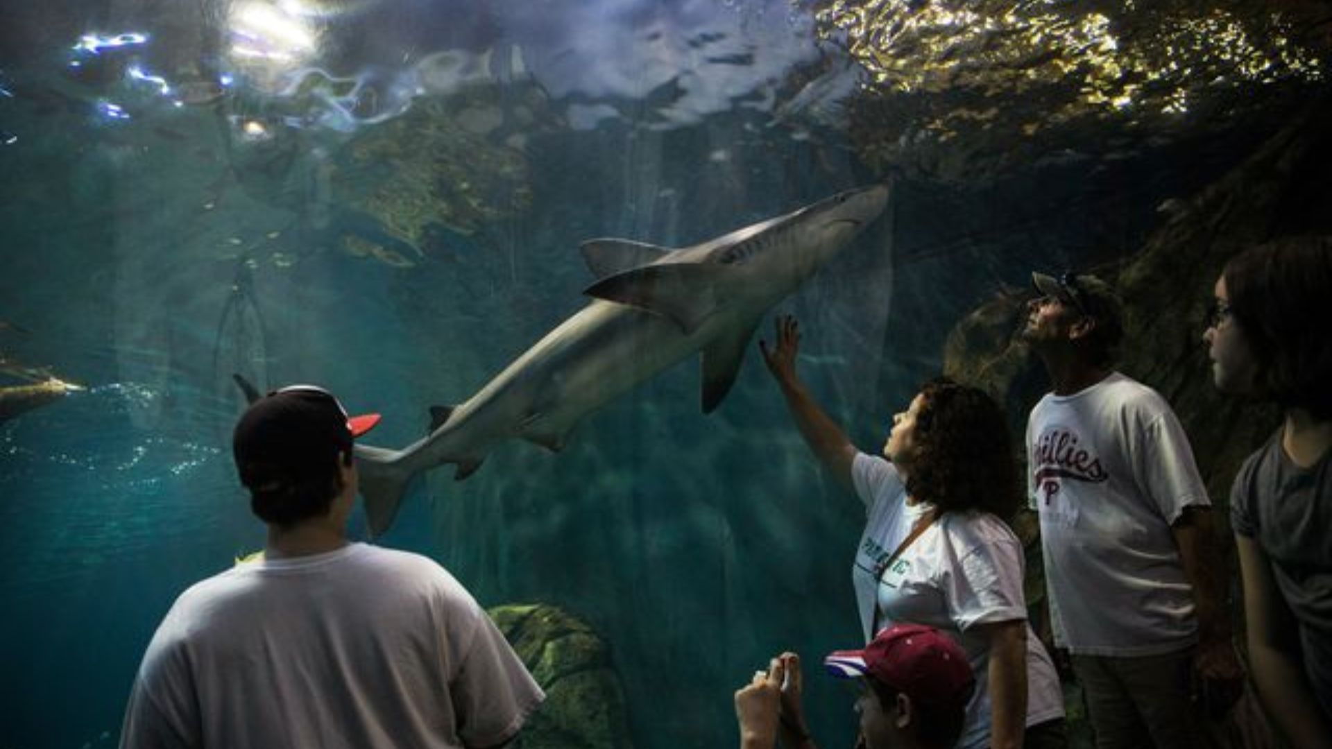 Adventure Aquarium
