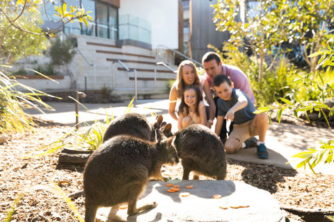 This Sydney Wildlife Retreat is One of the Most Unique Family Stays in Australia
