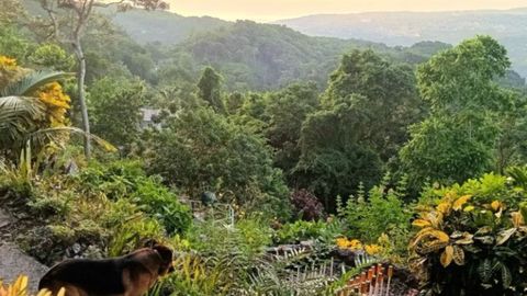 The Most Underrated Tourist Attraction In The World Is In The Caribbean - Here's Why