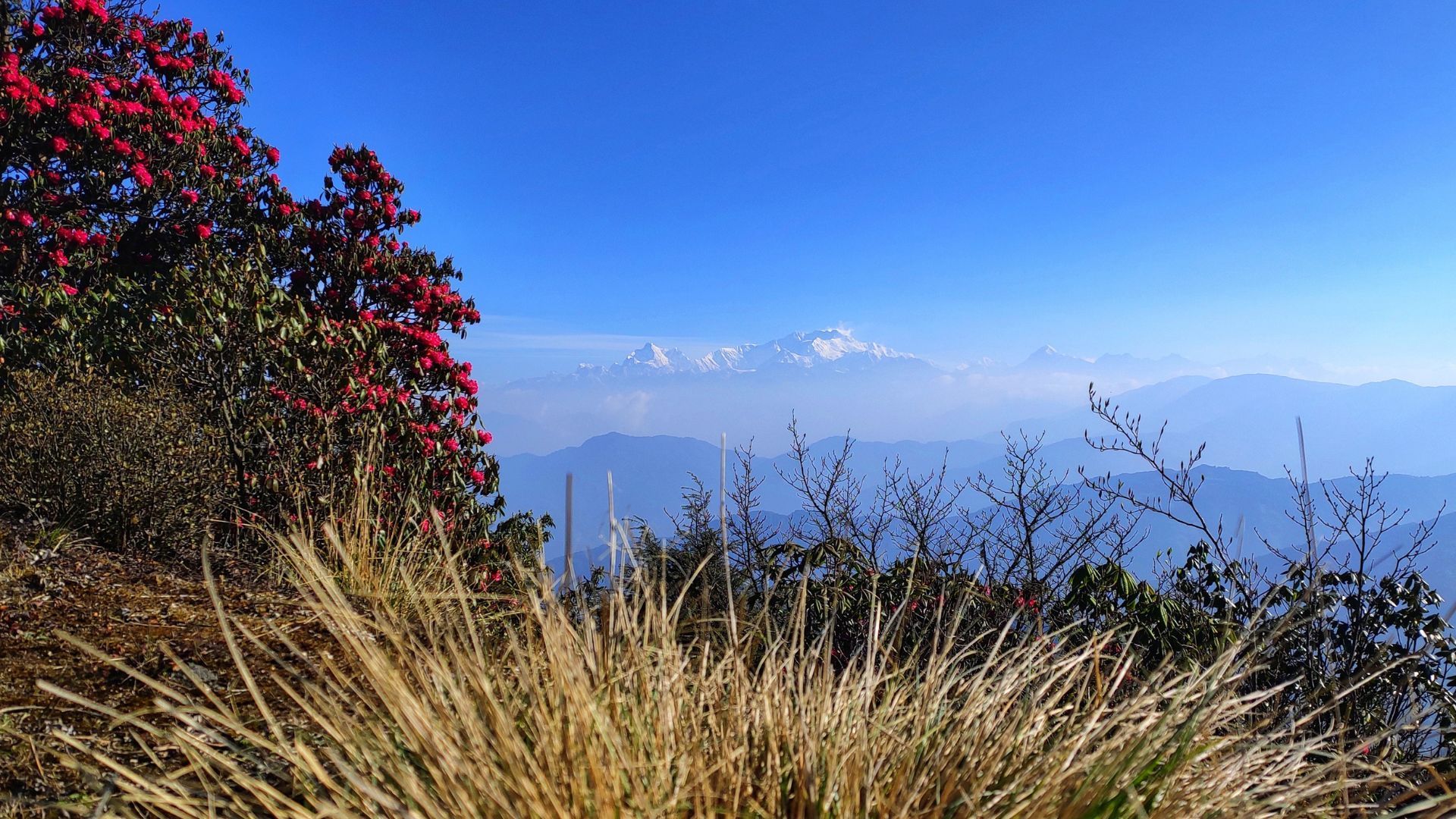 Kanchenjunga range