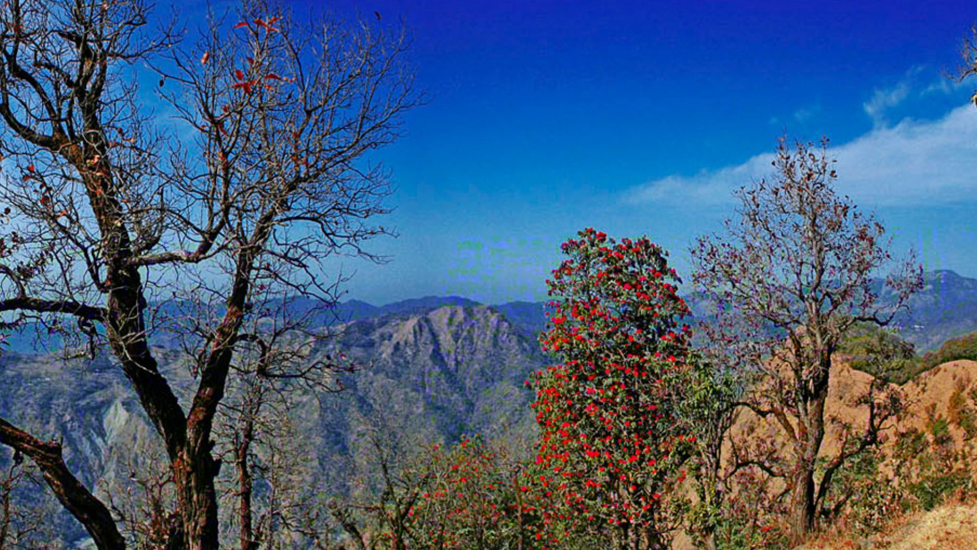 kumaon hills