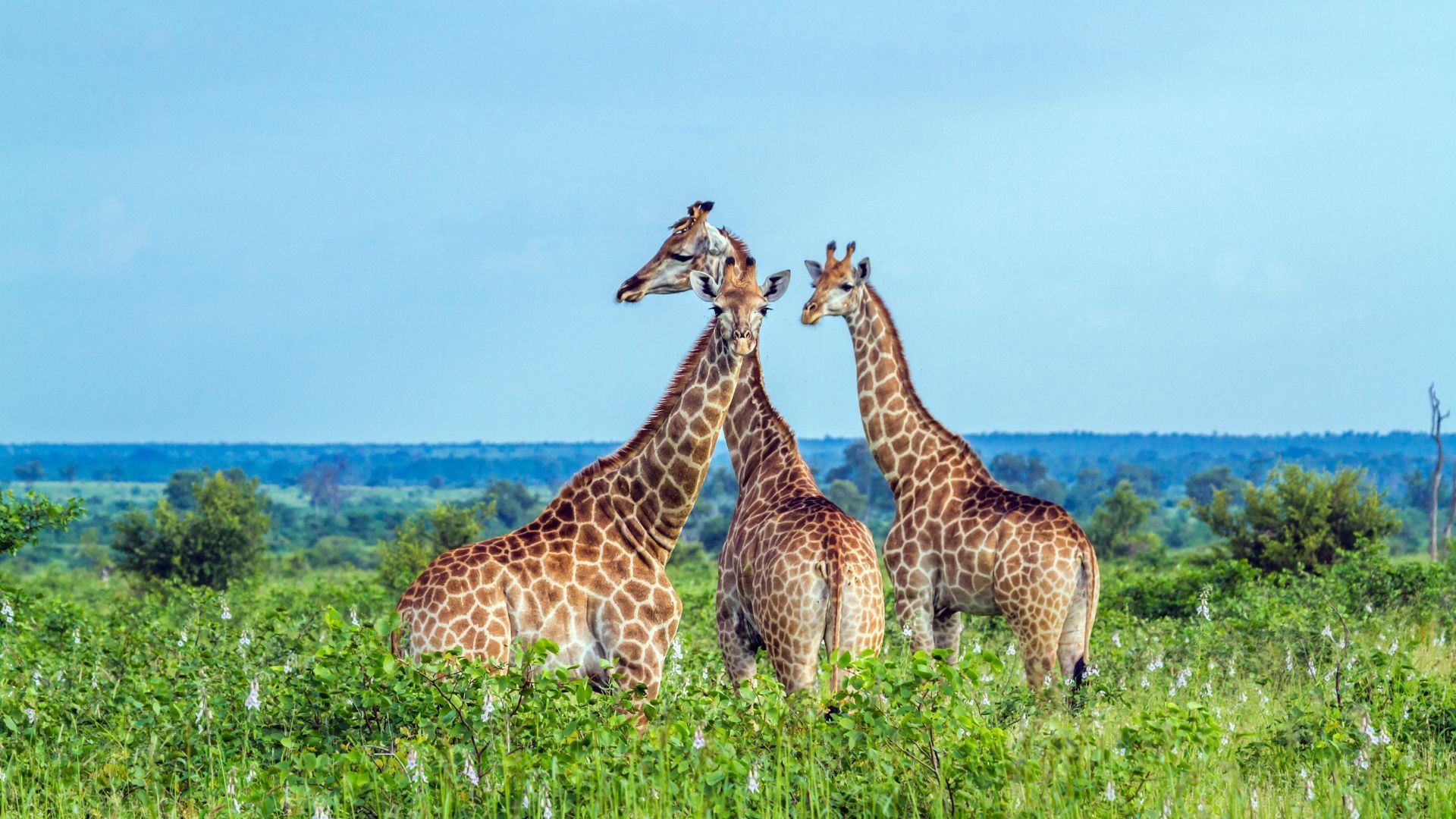 south africa itinerary