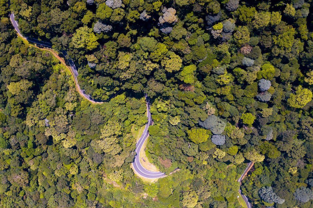 Malaysia Road Trips