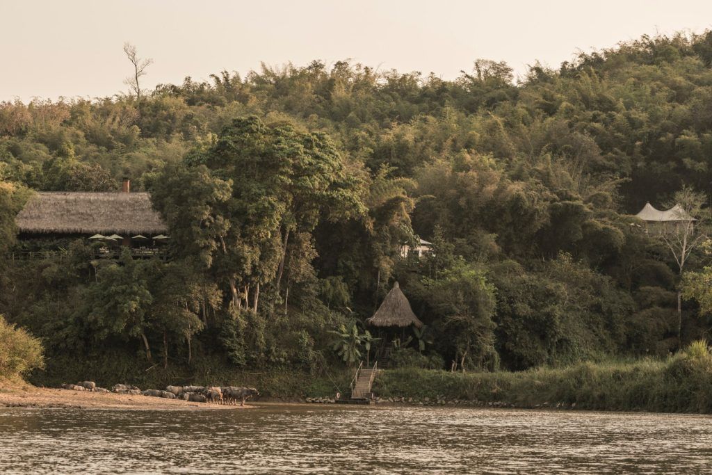 Four Seasons Tented Camp Golden Triangle, Family Trip in Thailand