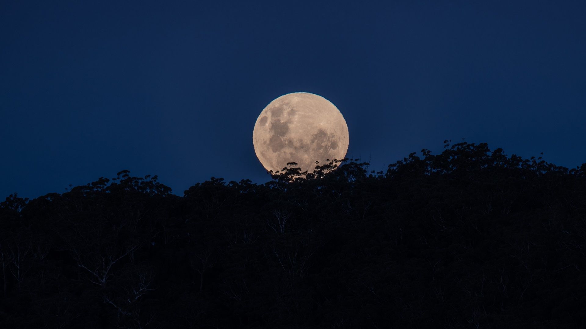 Flower Moon