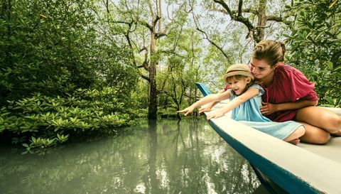 These are the Best Family Hotels and Resorts in Malaysia in 2024