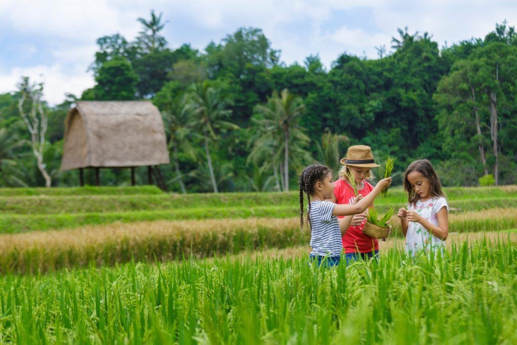 Mandapa Camp Activities