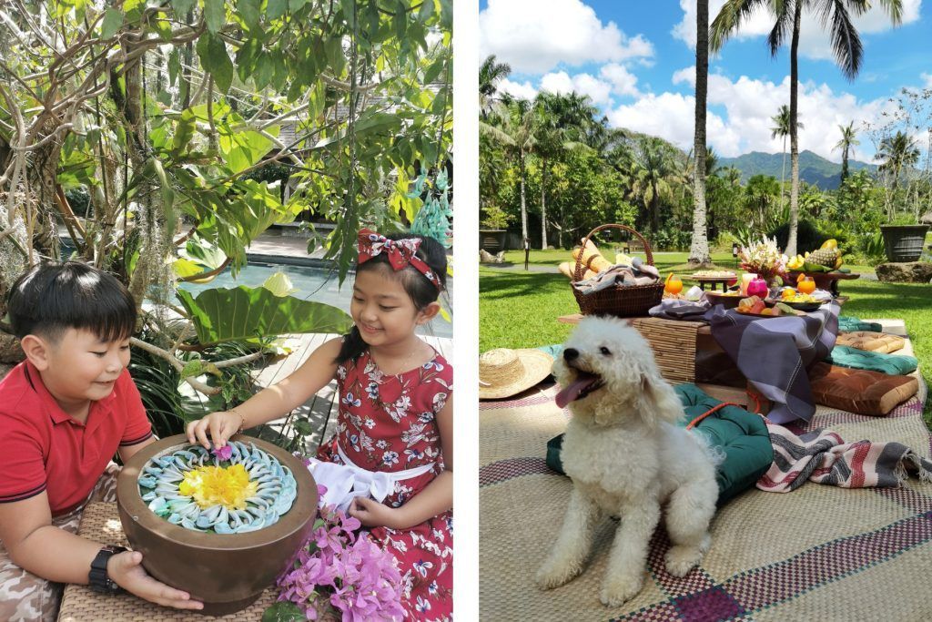 The Farm at San Benito environment