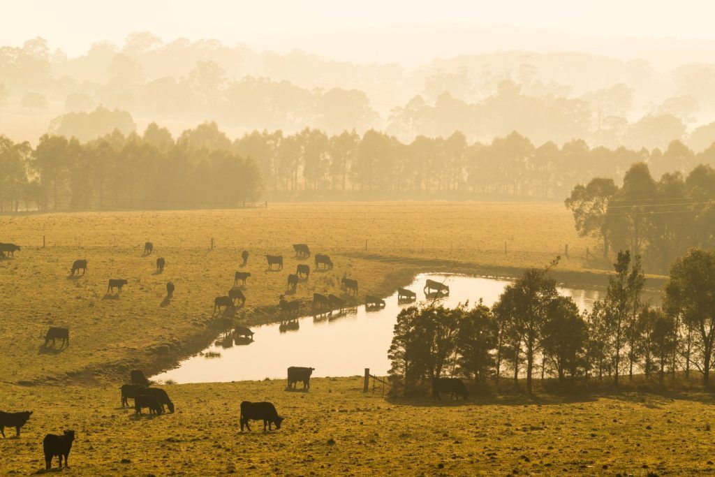 NSW Country Landscape