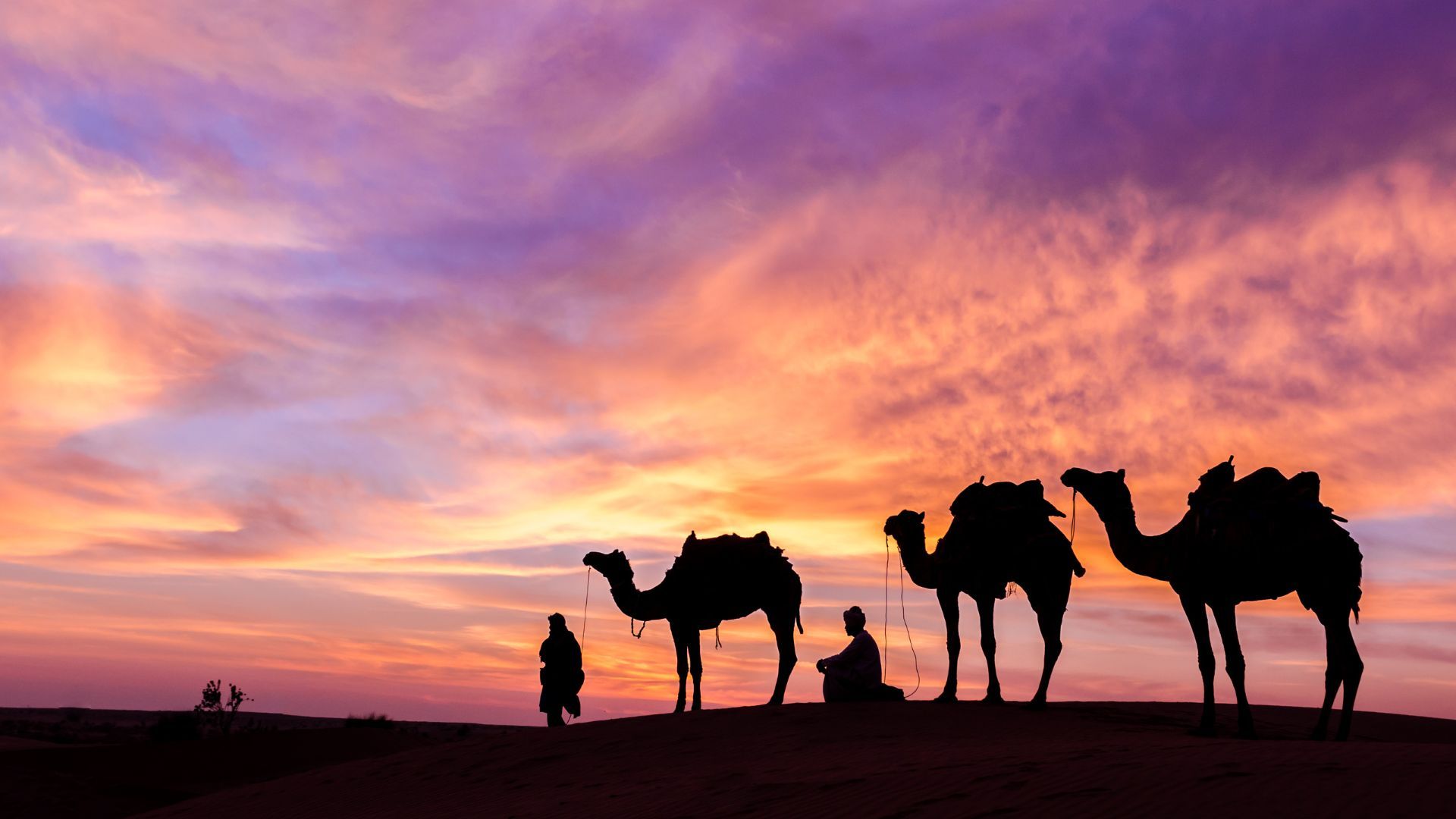 Desert safari in Dubai