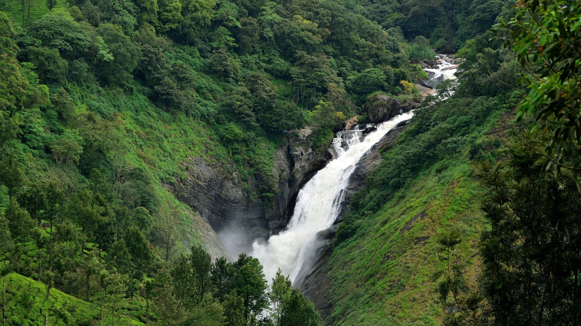 Waterfalls in Munnar
