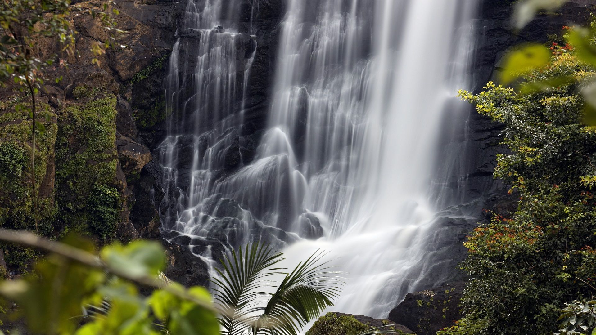 Waterfalls in Munnar