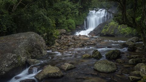 Beyond Hills And Tea Plantations – Exploring Munnar’s Breathtaking Waterfalls