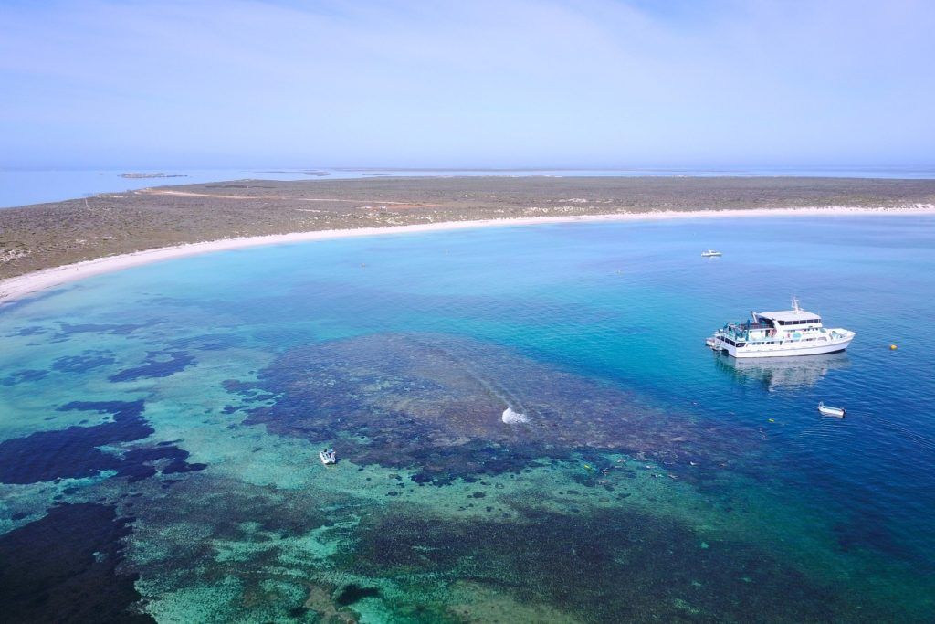 Eco-Abrolhos at East Wallabi Island, Houtman Abrolhos Cruise