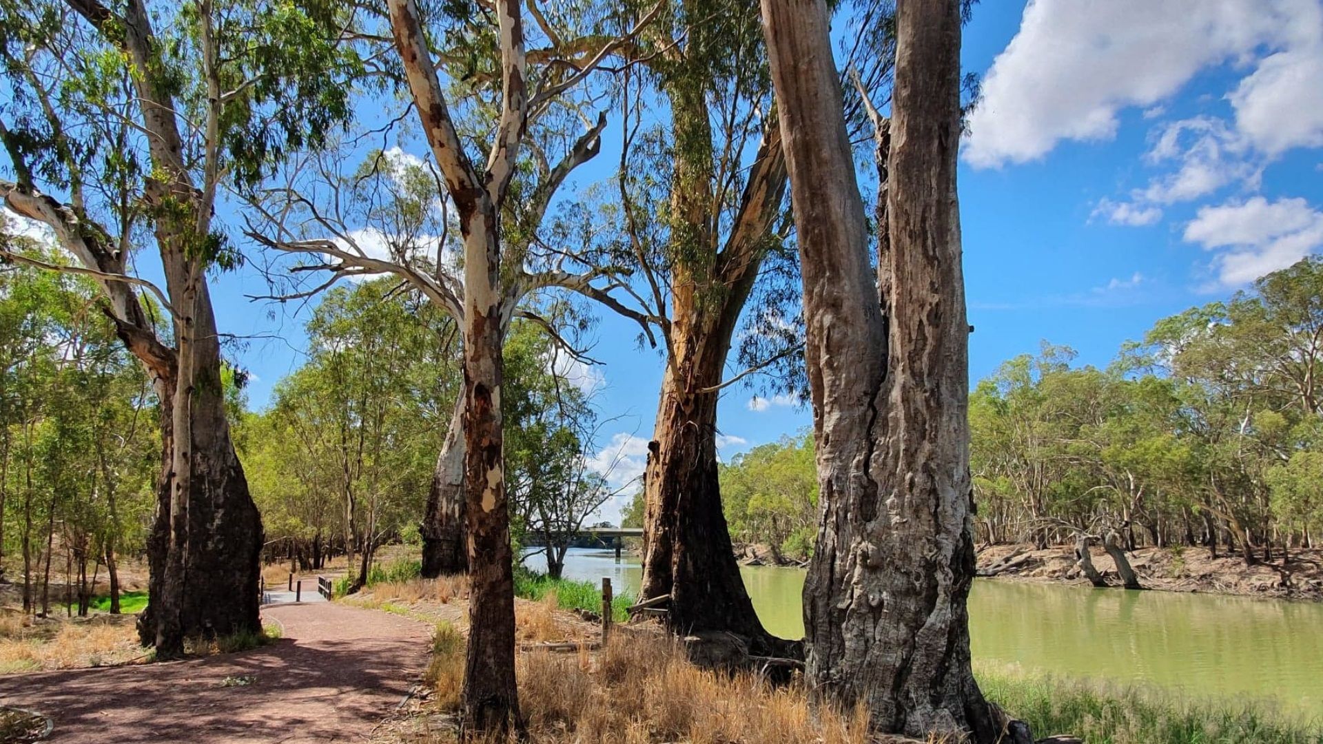 Bidgee Riverside Walk