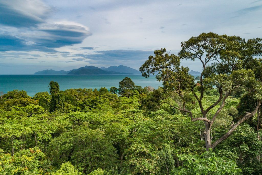 The Datai nestled amidst the lush rainforests