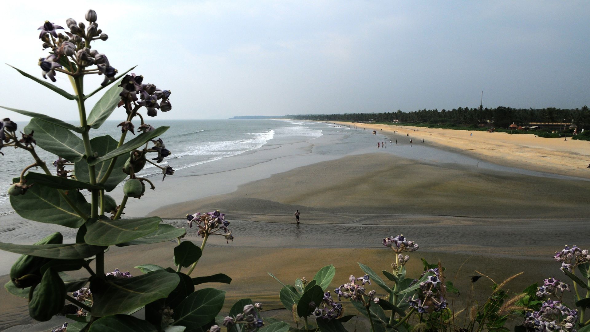 beaches in kerala